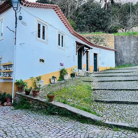 Pe Do Castelo Casinha Villa Tomar Buitenkant foto