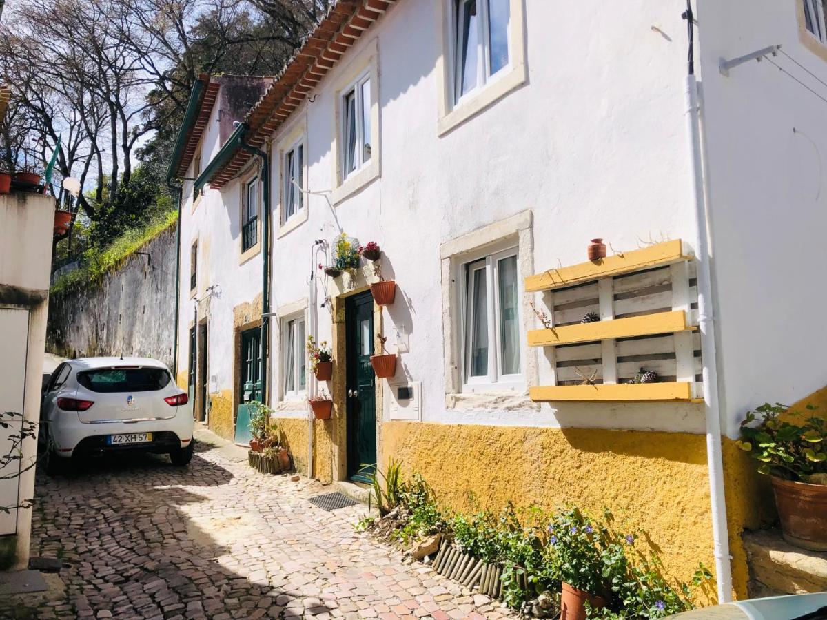 Сasa de vacaciones Pe Do Castelo Casinha - Pet Friendly & Garage